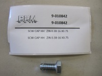 9-010842: SCW CAP HH   ZIN 0.38-16 X0.75